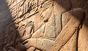 Египет как внешнеторговый партнер российской федерации